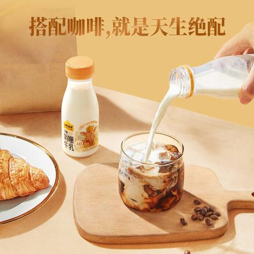 【72小时发货】认养一头牛 冷藏娟姗牛乳200ml*12 商品图3