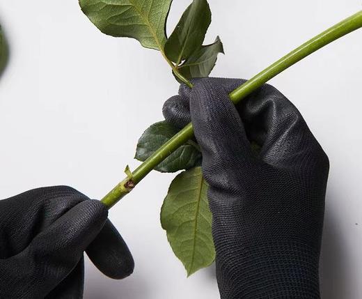 【花艺师手套】花艺师专用手套多款上线 商品图1