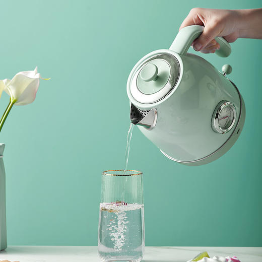 【进口温控器】拓璞DK463家用复古浪漫电热水壶一体烧水壶大容量电水壶 商品图4