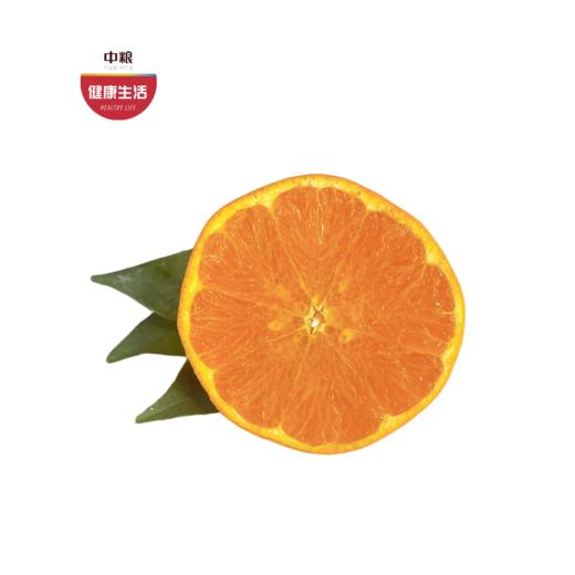 四川明日见柑橘    柑香浓郁  甜美多汁   细嫩化渣   5斤 商品图0
