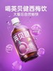 益生元西梅纤维果饮500ml |英贝健 大餐救星 商品缩略图1