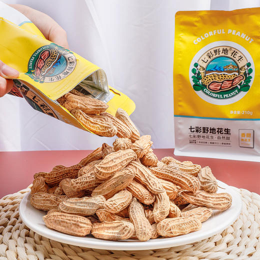 七彩野地原味熟花生210g*3袋 商品图1