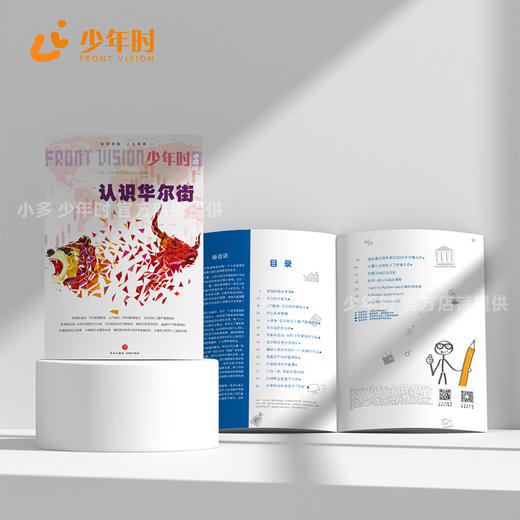 少年时54 认识华尔街 商品图2