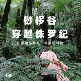【“侏罗纪”桫椤谷】国庆活动｜漫行春野，穿越回侏罗纪恐龙公园