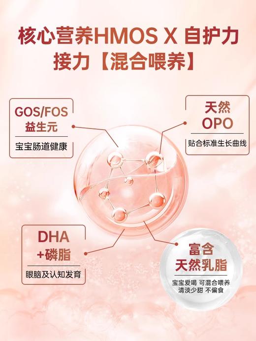 【中欧班列精选】HNMG 德国爱他美Aptamil白金版 2+段（适宜两岁及以上宝宝） 800g/罐 商品图3