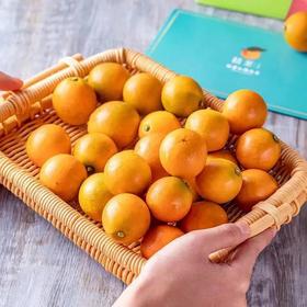 脆脆蜜甜金橘 约1斤