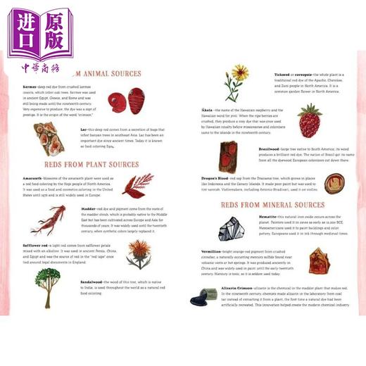 【中商原版】颜色背后的故事 Before Colors Where Pigments and Dyes Come From 英文原版 儿童科普绘本 知识百科图画书 精装 商品图3
