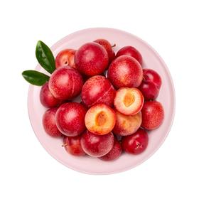智利樱桃李（4J/5斤)