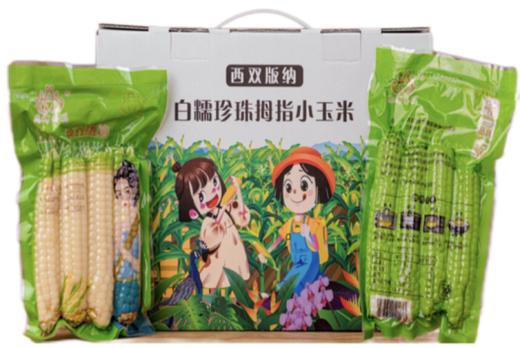 西双版纳白糯珍珠拇指小玉米（2000克礼盒装） 商品图3
