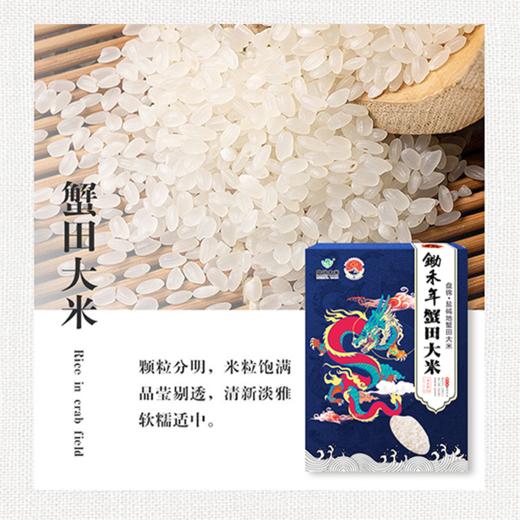 2025新米上市 盘锦大米精品原粮红海滩1号 东北大米锄禾年真空礼品装 5KG 锄禾年红海滩1号 商品图7