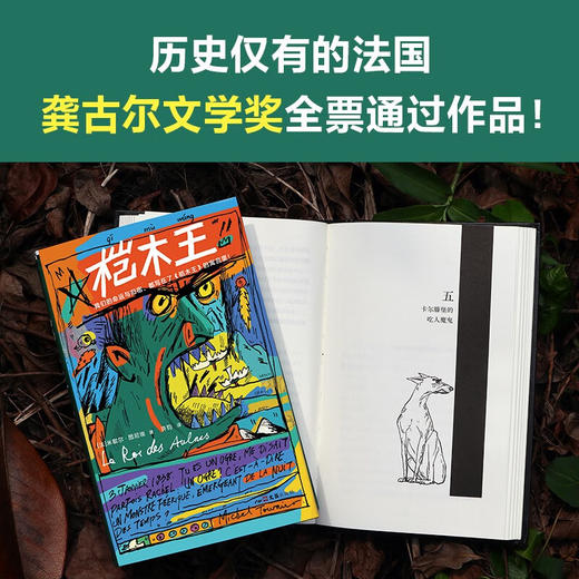 桤木王（法）米歇尔·图尼埃 著  商品图3