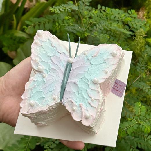 春日蝴蝶 | 昔果 商品图0