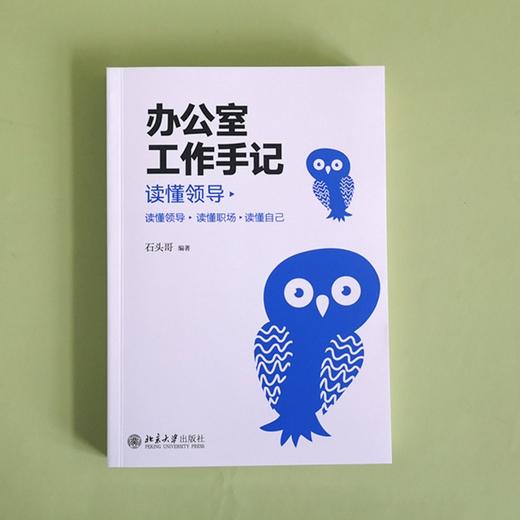 办公室工作手记 石头哥 著 励志与成功 商品图3
