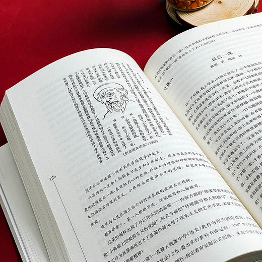 经典翻译文学与中小学语文教育 翻译文学教育教学实施途径 张心科著 商品图11