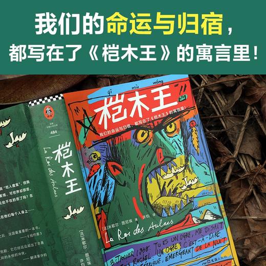 桤木王（法）米歇尔·图尼埃 著  商品图2