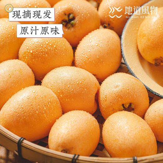 四川米易  五星枇杷  规格任选 商品图4