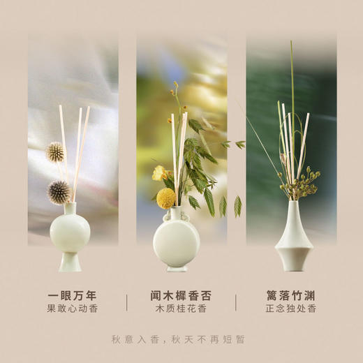 呈白 陶瓷花樽香插香薰礼盒【赠送天然干花材料包】大师调香 0酒精 人宠友好香 每个月都能闻见不一样的香 商品图1
