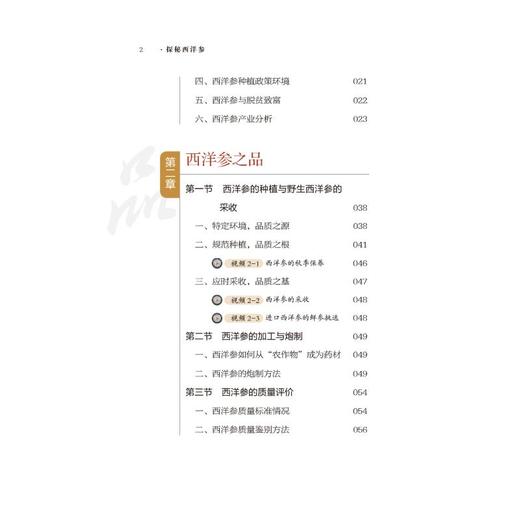 探秘西洋参 商品图4