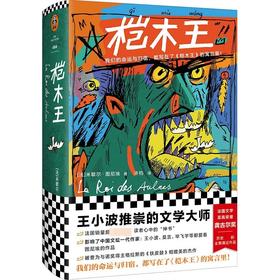 桤木王（法）米歇尔·图尼埃 著 