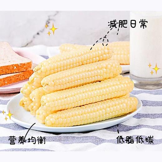 西双版纳白糯珍珠拇指小玉米（2000克礼盒装） 商品图0