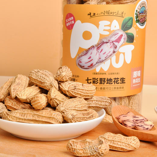 七彩野地原味熟花生278g*3罐 商品图0