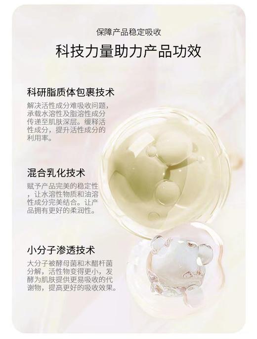 【铂金系列】拾光肌因  美肌修复精华液 商品图5