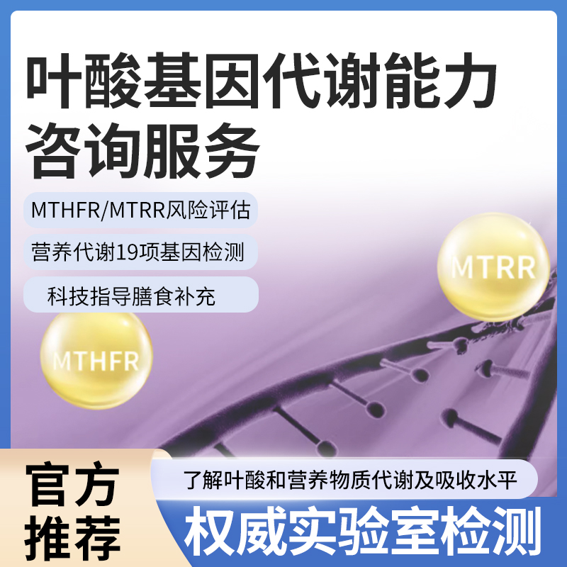叶酸代谢能力咨询服务