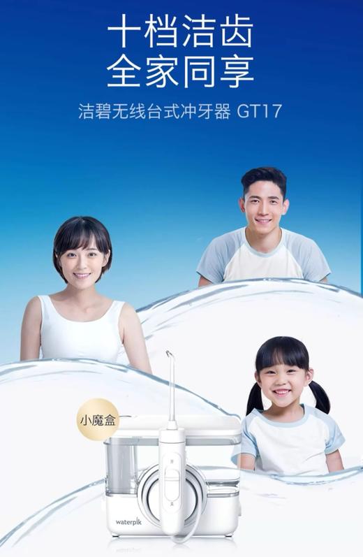 美国 Waterpik 洁碧 GT17 家用台式冲牙器 全家老少均可用 商品图0