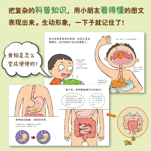 我的身体棒棒的：全5册（认识身体非常有趣，还能让孩子知道，怎么变得强壮，避免生病！） 商品图2