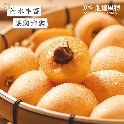 四川米易  五星枇杷  规格任选 商品图0