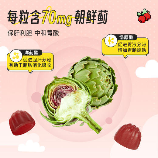 德国NA自然之选 朝鲜蓟益生菌软糖 60粒/瓶 商品图2