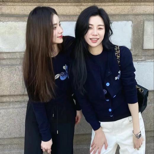 【à perles】博主同款 鄂家可爱的蓝莓图案女士羊绒衫 套头和开衫两个款式【现货】 商品图1