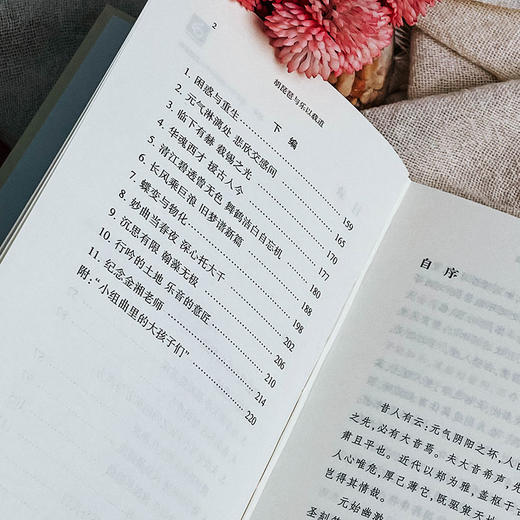 胡琵琶与乐以载道 欧洲传统音乐 西方古典音乐 伍维曦音乐评论 商品图5