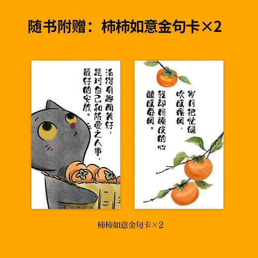 就算颠沛流离 也要风生水起 赵丽荣 著 励志与成功 商品图2