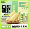⁴【限时49.9元10根】优质杂粮 白甜糯玉米棒 3分甜7份糯 黑龙江黑土地种植 鲜食加热 真空包装 即食杂粮 240g/根【贵州遵义溯源】YC04-CRMM-QZN 商品缩略图0