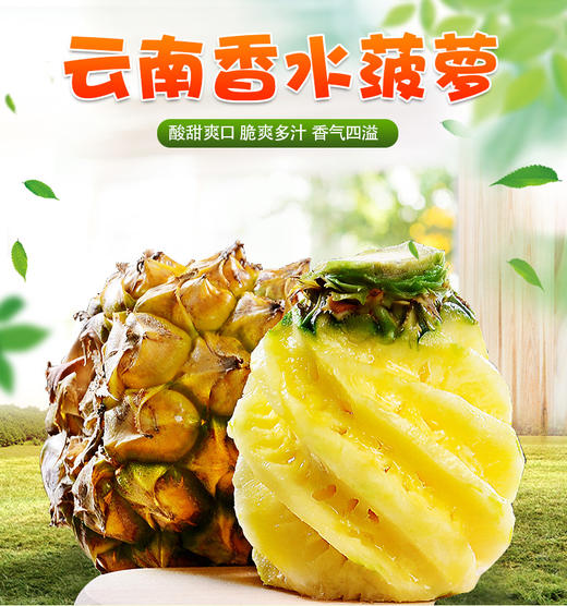 【秒杀】云南香水菠萝9斤泡沫箱送菠萝刀 商品图0