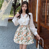 春秋季【法式假两件V领连衣裙女 新款设计感】气质收腰 碎花短裙子潮 商品缩略图5