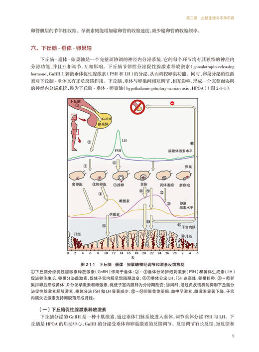 实用生殖超声医学 彭成忠 舒静王军梅 生殖临床技术与超声技术辅助生殖技术超声监测临床男女不孕不育 妇产科学书 人民卫生出版社 商品图4