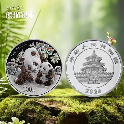 2024年熊猫精制银币 大规格 光变鳞彩熊猫币 商品图0