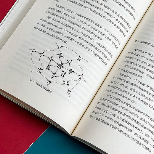 变革学校的新生力量 教师的主动参与和学校领导力 变革组织文化 学校变革 商品图13