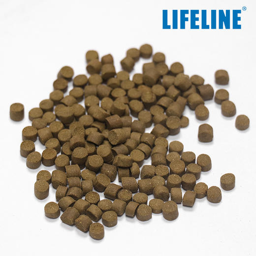 【增色增产下沉】全新升级40%高蛋白增色成长型3岁以上成体水龟 商品图2