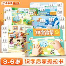 【斗半匠】幼儿识字启蒙撕拉书识字启蒙游戏书幼儿识字早教魔术贴儿童象形看图识字卡片