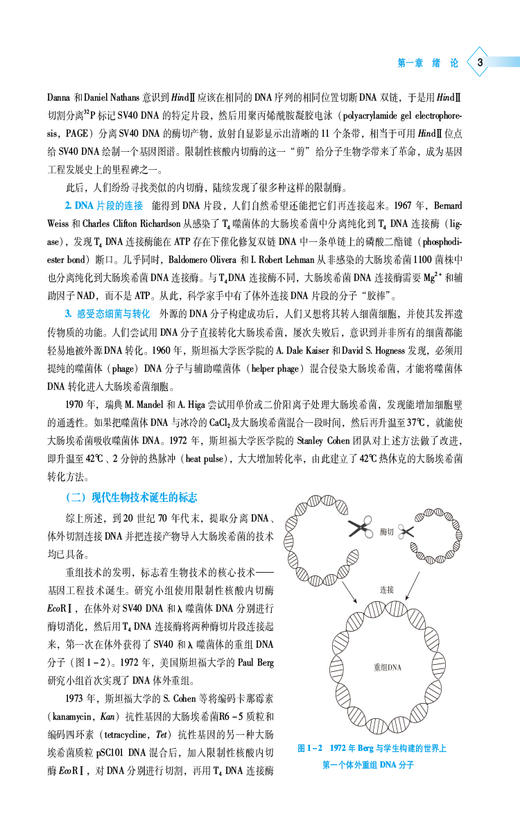 现代生物技术 高等职业教育本科药学类专业规划教材 黎晶晶 宋琴 主编 供生物技术类专业用 中国医药科技出版社9787521443431  商品图4