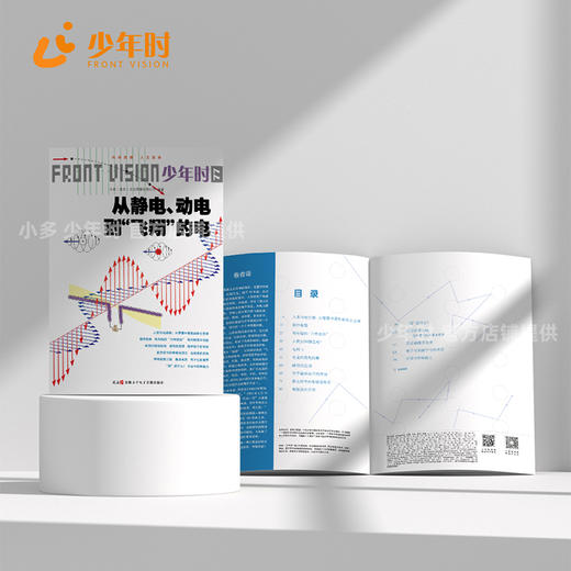 少年时77 从静电、动电到“飞翔”的电 商品图2