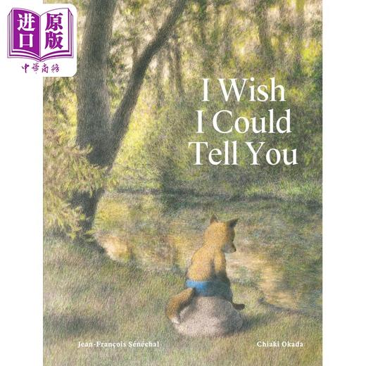 【中商原版】生命教育 我希望跟你说 I Wish I Could Tell You 英文原版 儿童绘本 亲子读物 故事图画书 精装 进口童书 4-8岁 商品图0