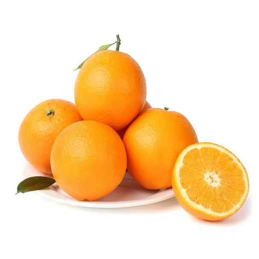 湖南纽荷尔橙9斤中小果（商） 商品图5