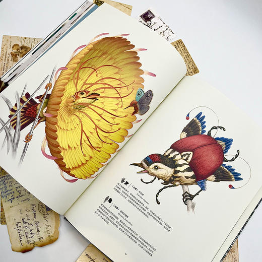 终极之地：神奇幻想生物大图鉴 商品图4