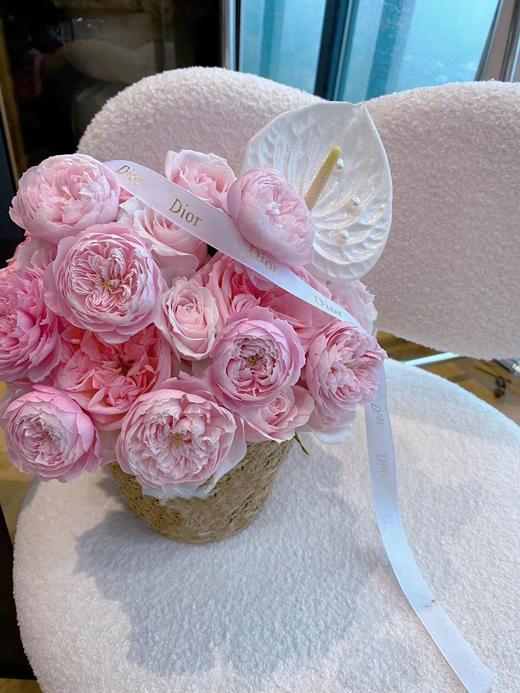 仙子之吻抱抱桶 商品图0