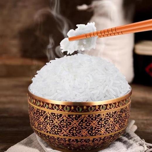 探禾泰国香米5KG 商品图2