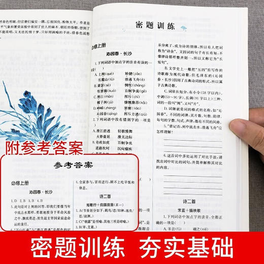 新版 高中文言文基础知识 商品图4